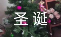 精选圣诞节周记范文锦集8篇