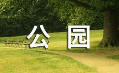 游上海长风公园周记800字范文
