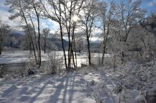 冬天的田野 - 冬天写景的作文800字