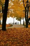 秋天的劳动公园 - 秋天的景色作文600字