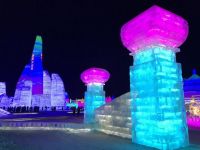 哈尔滨冰雪大世界游记示例