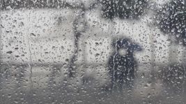 雨天印象 - 关于下雨的写景作文600字