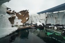 极地海洋馆