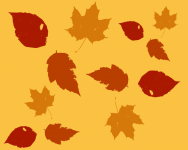 秋天的树叶 - 秋天写景作文500字