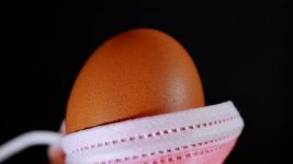 制作鸡蛋保护器 - 初中周记