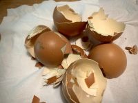 分辨生熟鸡蛋