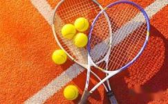 关于网球训练的周记作文