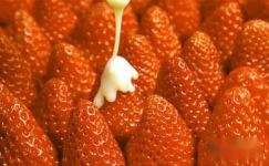 【荐】摘草莓周记6篇大纲
