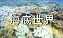 游青岛海底世界小学生周记大纲