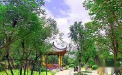 游览芜湖雕塑公园周记